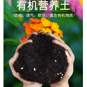 种花土多肉营养土有机土家用养花泥炭土种菜花泥土壤种植土通用型